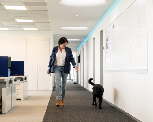 Woman walking through the office beside the office dog.